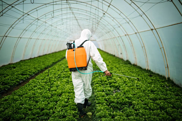 Best Residential Pest Control  in Bernalillo, NM