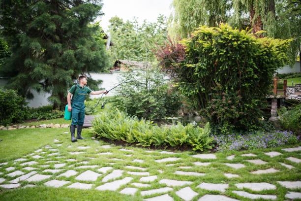 Best Best Pest Control Companies  in Bernalillo, NM