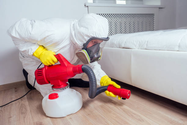 Wildlife Control Services in Bernalillo, NM
