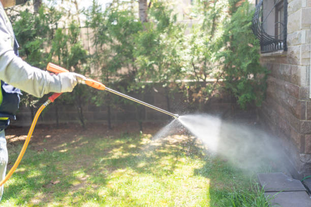 Insect Control in Bernalillo, NM