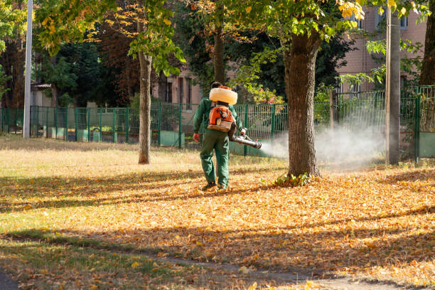 Best Wildlife Control Services  in Bernalillo, NM